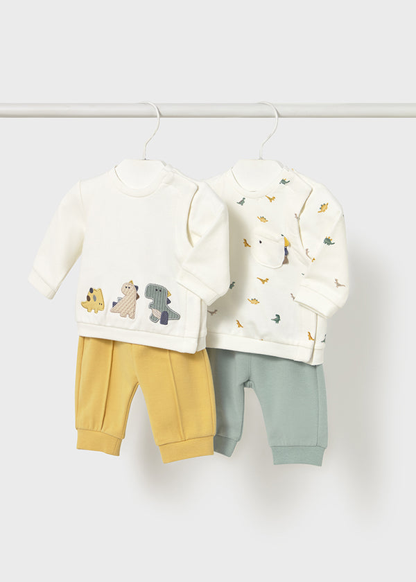 Completo 2 pezzi dinosauro neonato