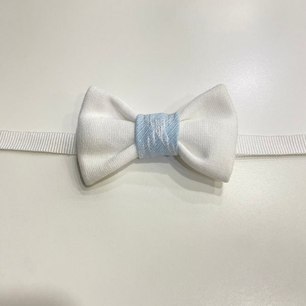 Papillon neonato