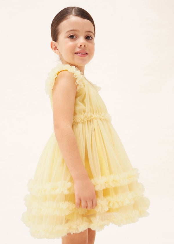 Tulle dress with hedgehog for girl 3918 3/8 years 